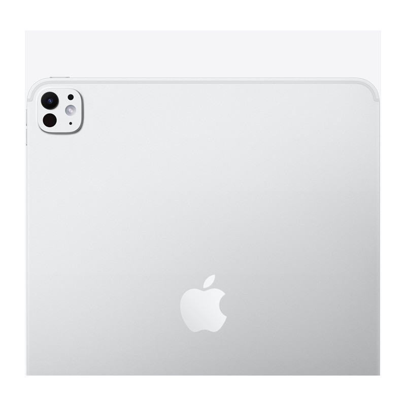 iPad Pro 13" M4 (2024) 5G 2TB Silver - Buy in Switzerland | Evenshop